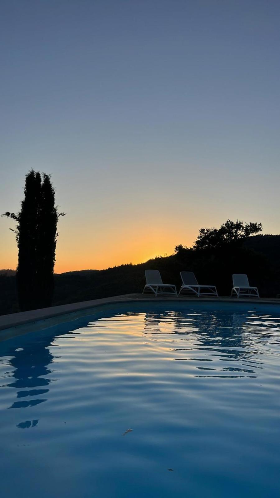 Agriturismo D'Ambiano Arezzo Exterior photo